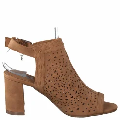 Xti 35173 Camel Brun New