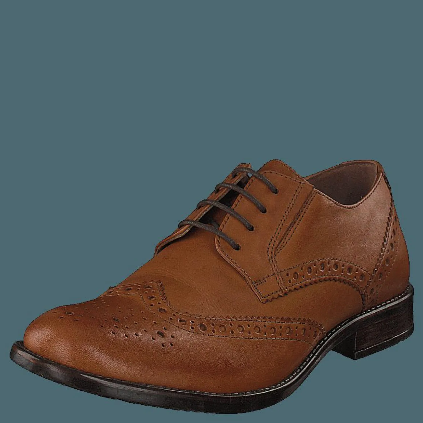 Senator 479-1043 Premium Cognac Brun New