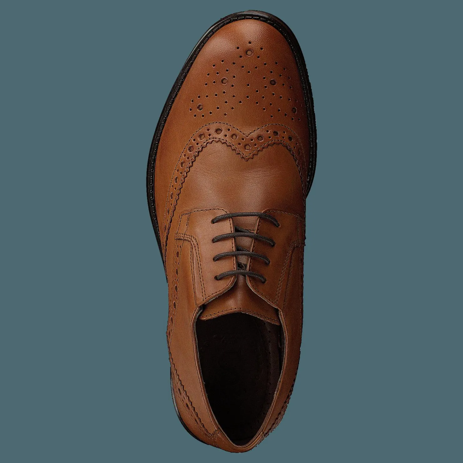 Senator 479-1043 Premium Cognac Brun New