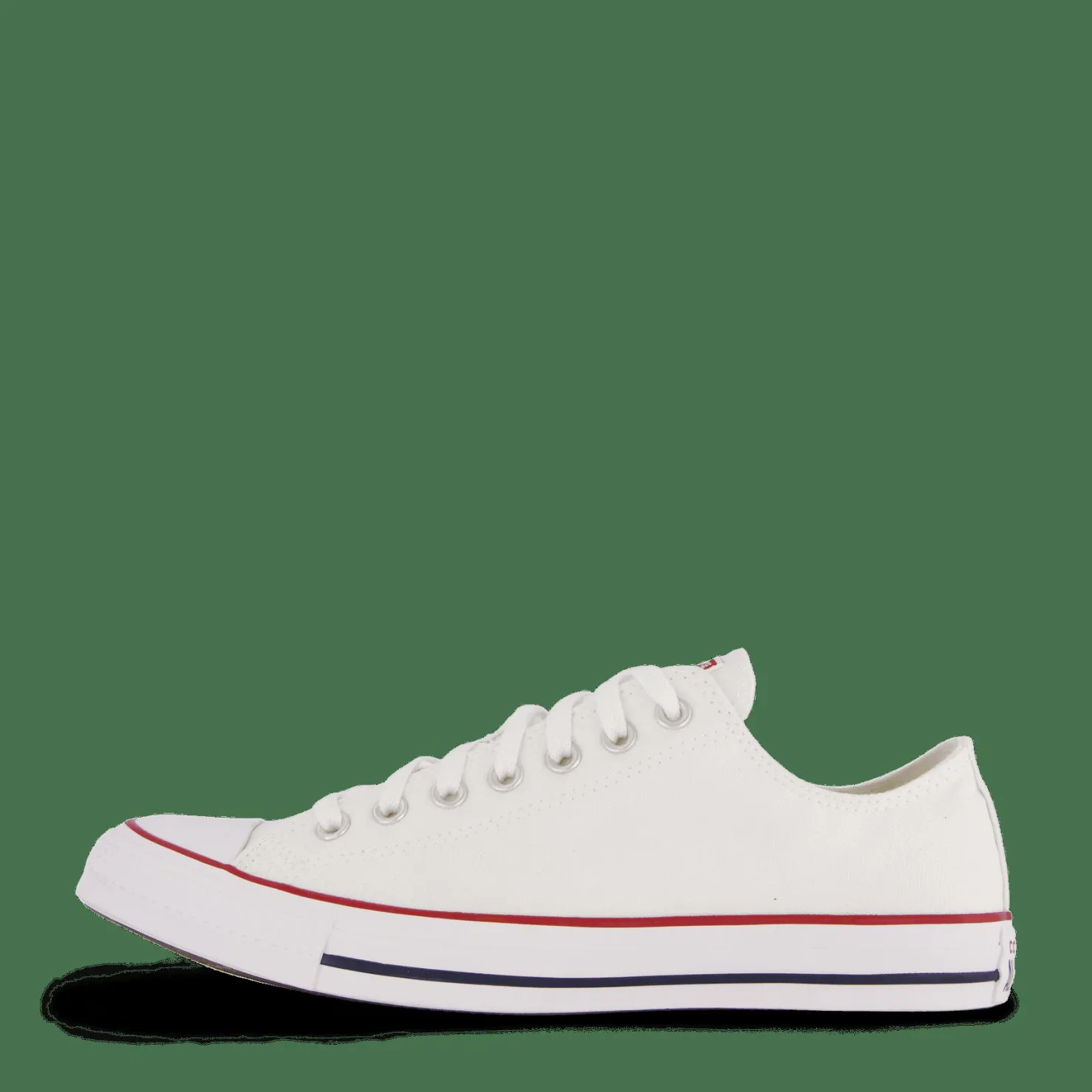 Converse All star Canvas Ox Optical White Vit Hot