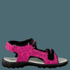 Pax Beetle Lilac Rosa och Svart Hot