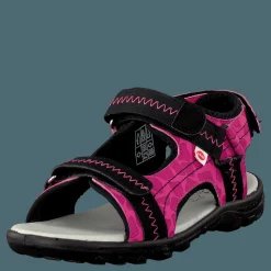 Pax Beetle Lilac Rosa och Svart Hot