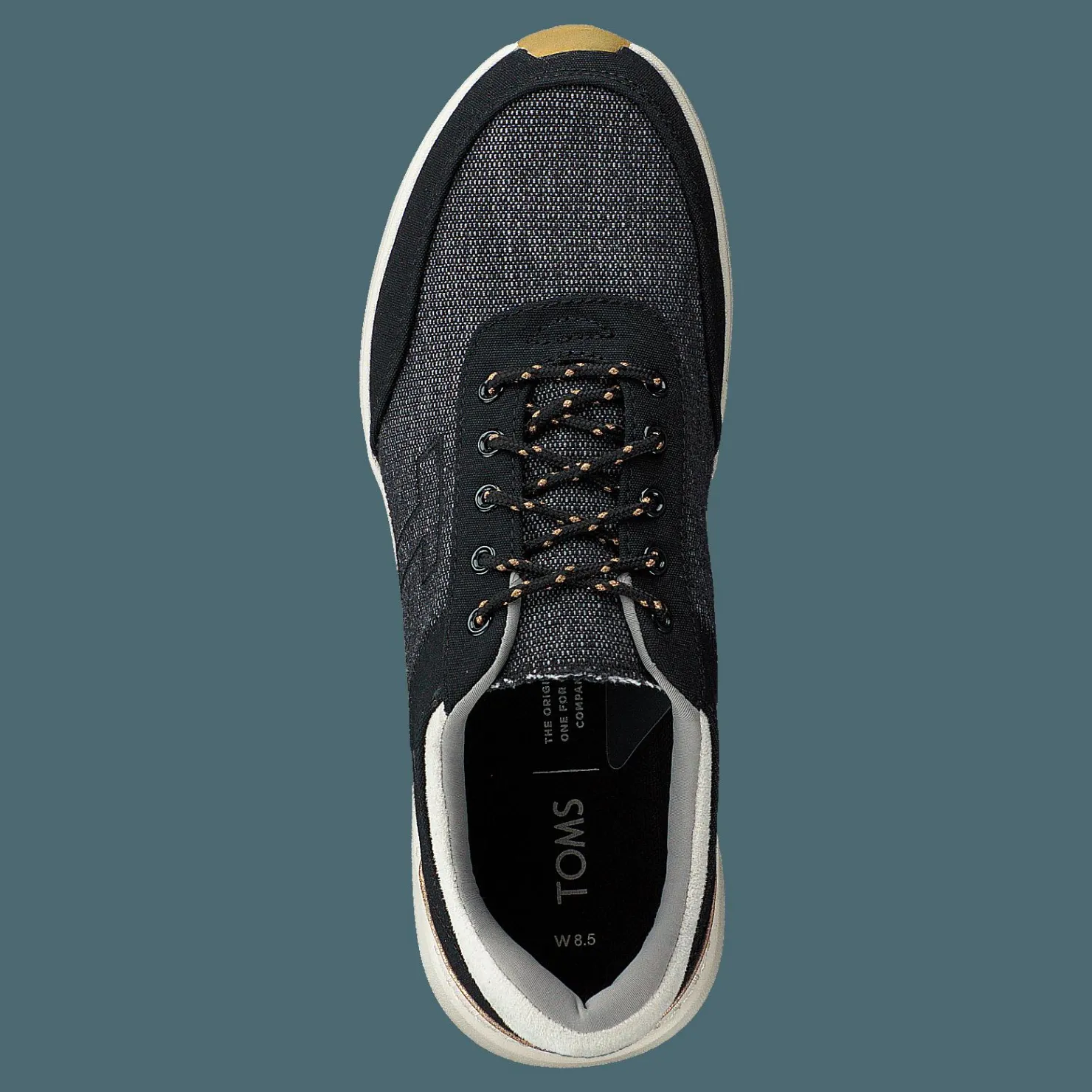 Toms Black Canvas Black Svart Hot