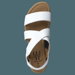 Wildflower Cuesta White Brun Hot