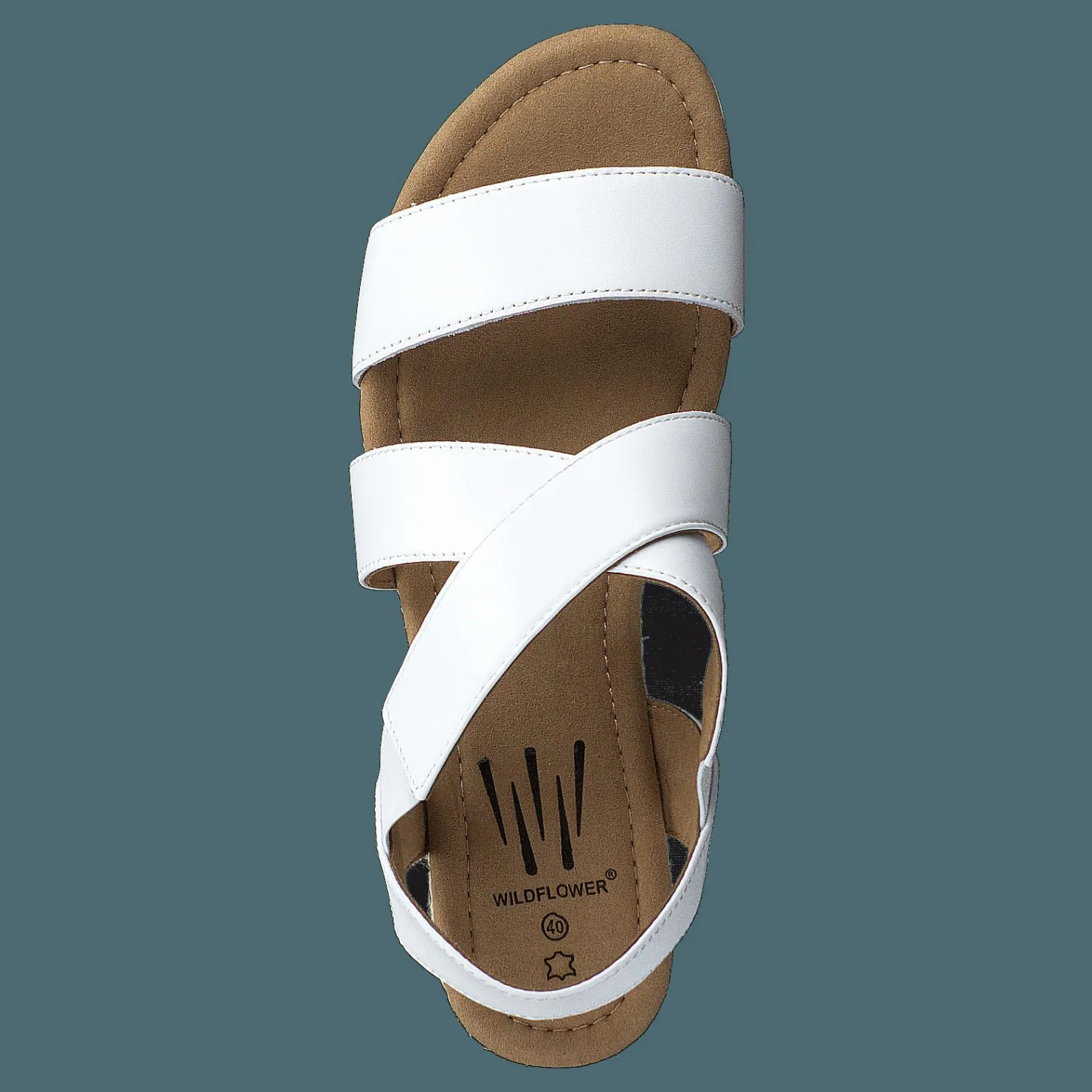 Wildflower Cuesta White Brun Hot