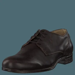 Sneaky Steve Dirty Low Brown Brun