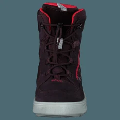 ECCO Urban Snowboarder Fig/teaberry Svart Discount