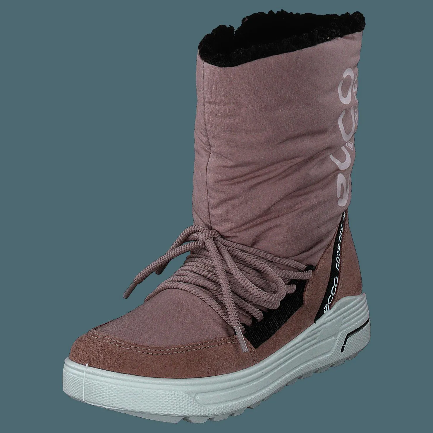 ECCO Urban Snowboarder Woodrose/woodrose Lila och Brun Online