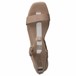 Aldo Eloiniel Bone Brun Best