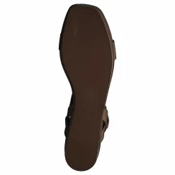 Aldo Eloiniel Bone Brun Best