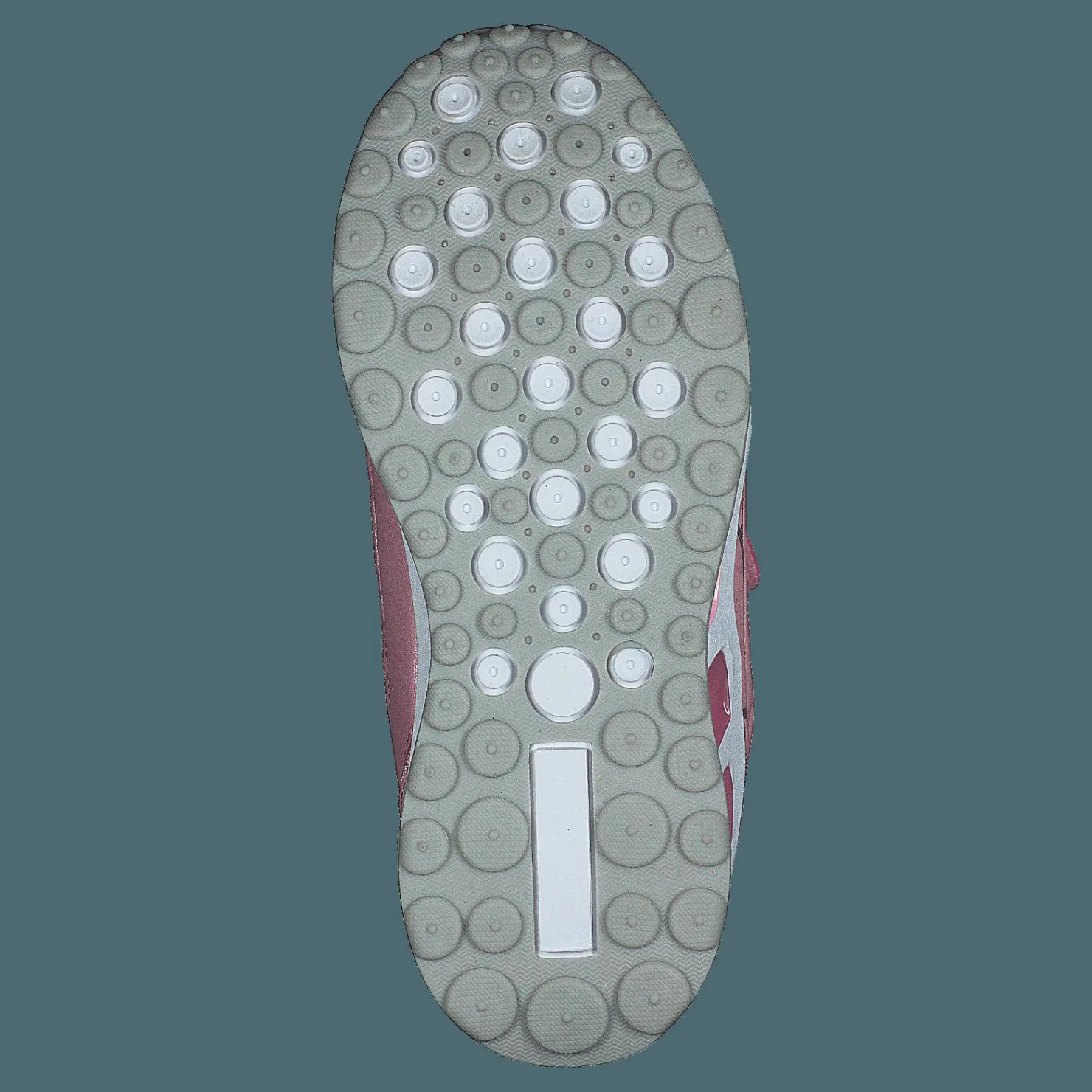 Wildflower Elvira Pink Rosa Sale