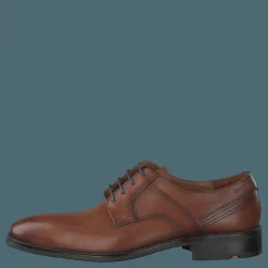 Lloyd Gala Cognac Brun