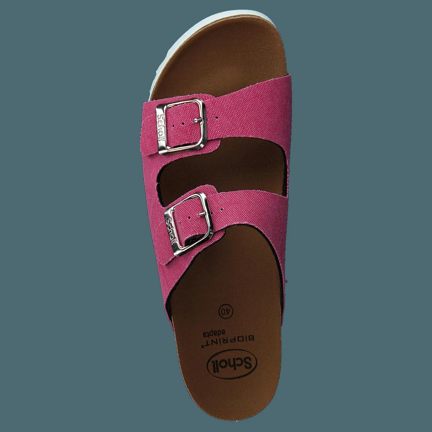 Scholl Greeny Malaren Fuxia Brun och Rosa Clearance