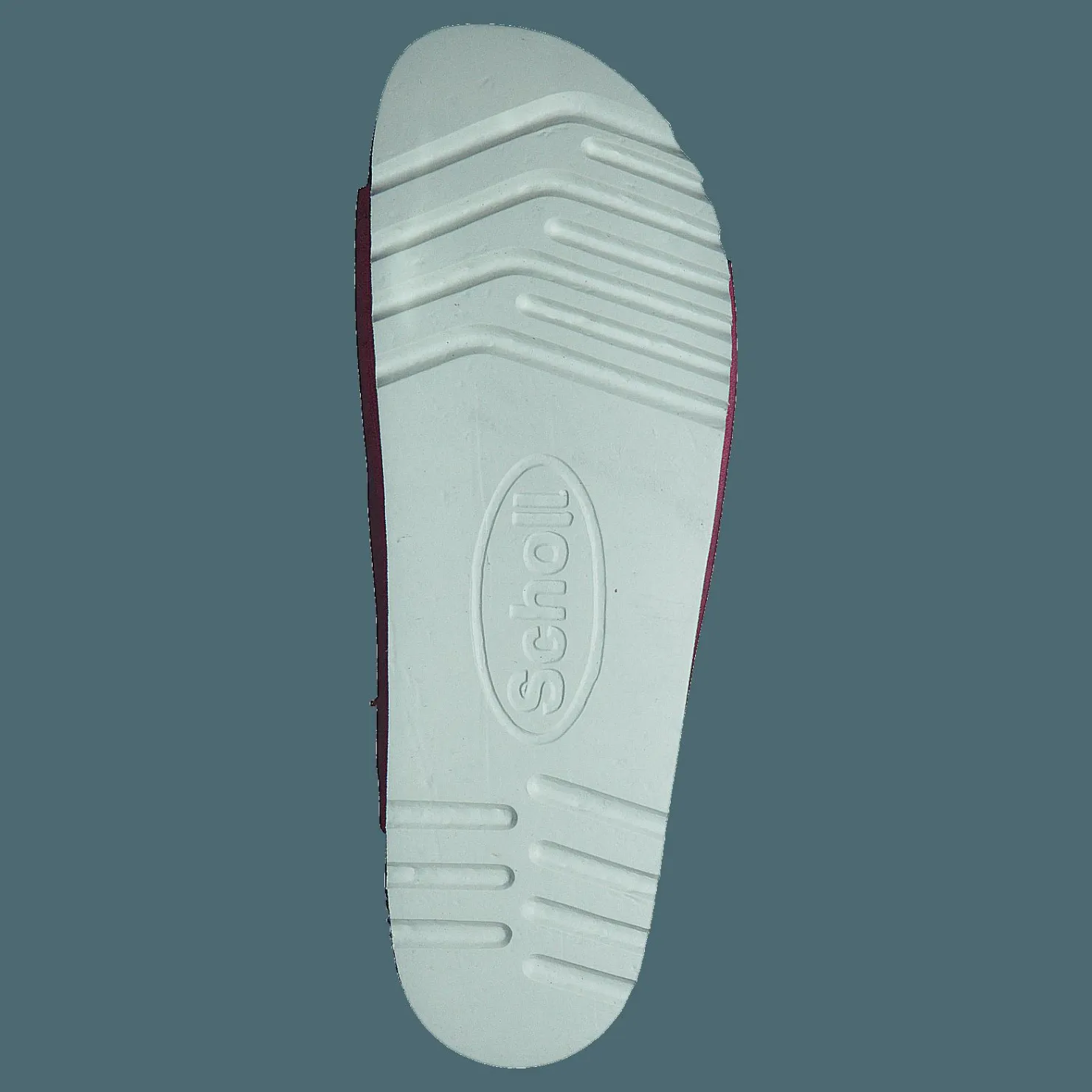 Scholl Greeny Malaren Fuxia Brun och Rosa Clearance