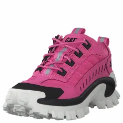 CAT Intruder Azelea Pink Rosa Outlet