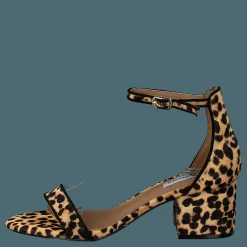 Steve Madden Irenee-l Leopard Brun Outlet