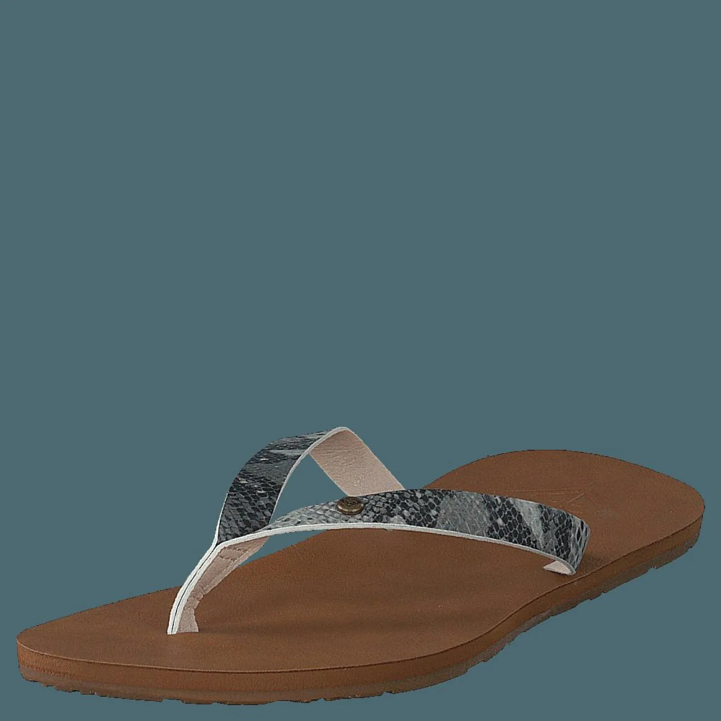 Roxy Jyll Iii White/snake Brun Hot