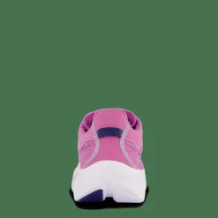 Saucony Kinvara 14 Grape/indigo Rosa Best