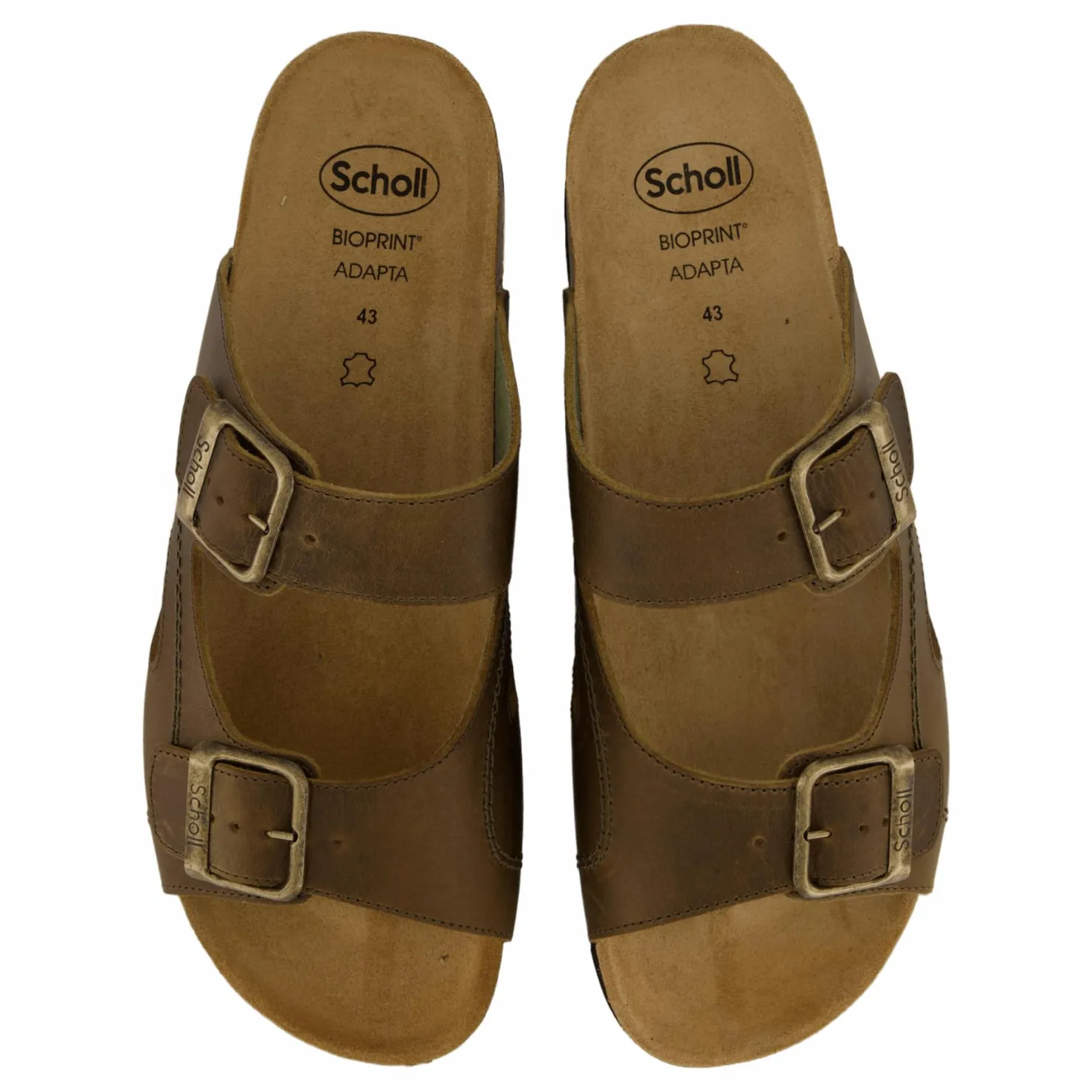 Scholl Moldava Ad Olive Brun