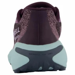 Merrell Morphlite Gtx Plum Flerfärgad Online