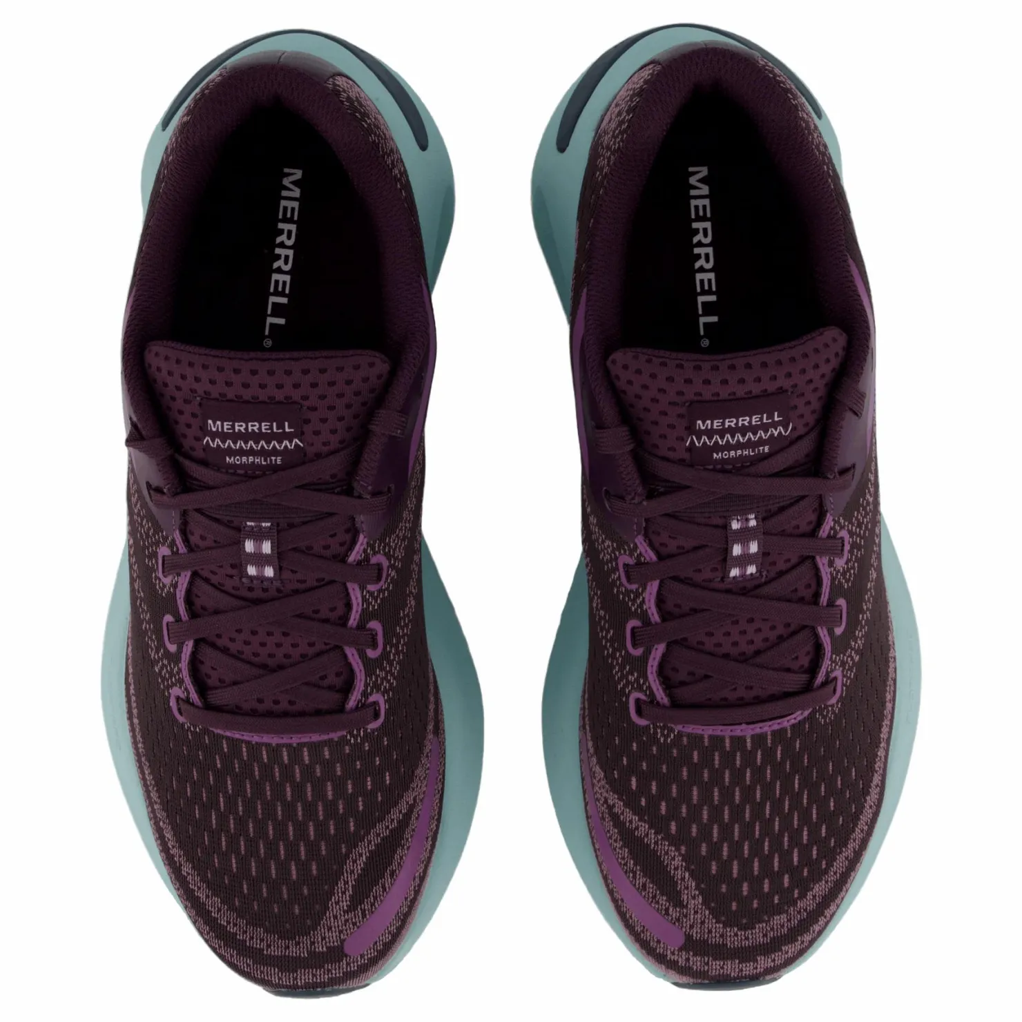 Merrell Morphlite Gtx Plum Flerfärgad Online
