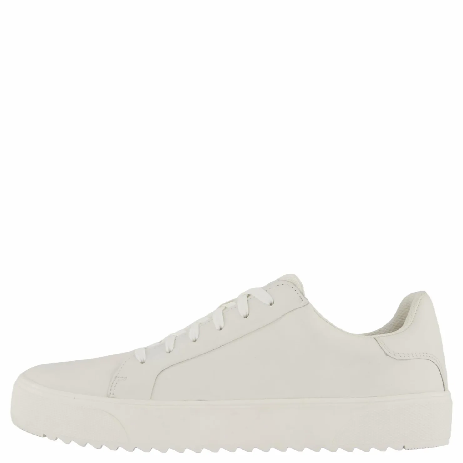 Polecat Rex Neapel Vit Clearance