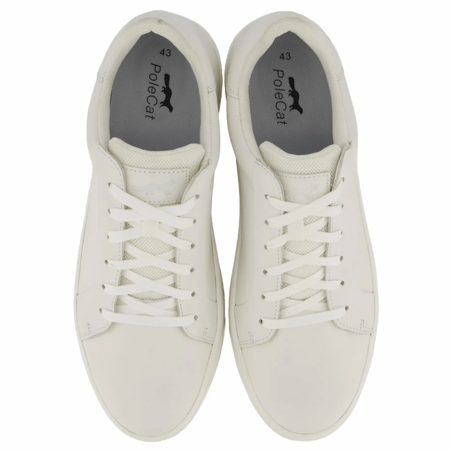 Polecat Rex Neapel Vit Clearance