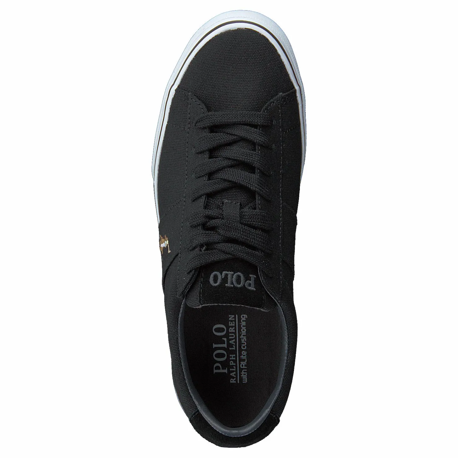 Polo Ralph Lauren Sayer Canvas Sneaker Black Svart Best