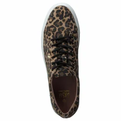 Dasia Starlily Lace Up Leo Brun