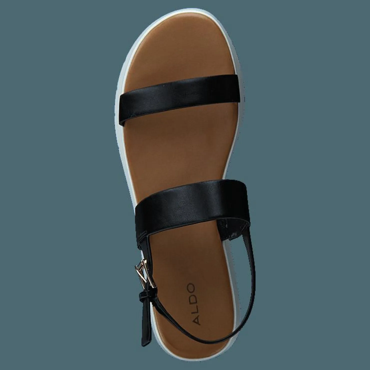 Aldo Wiwiel Black Svart Hot