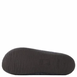 Verbenas Yoi Picos Pet Gris Grå New